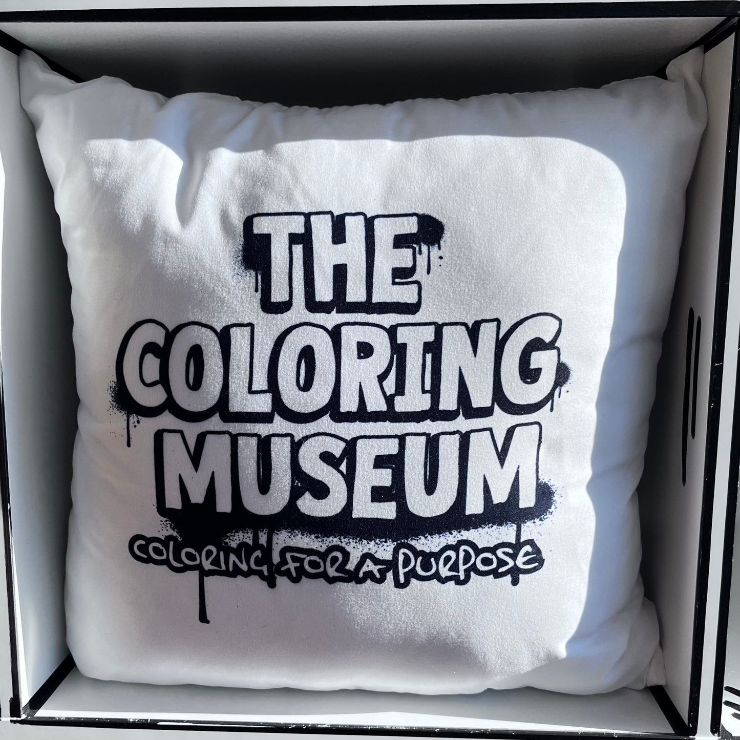 ILL Emoji Coloring Pillows